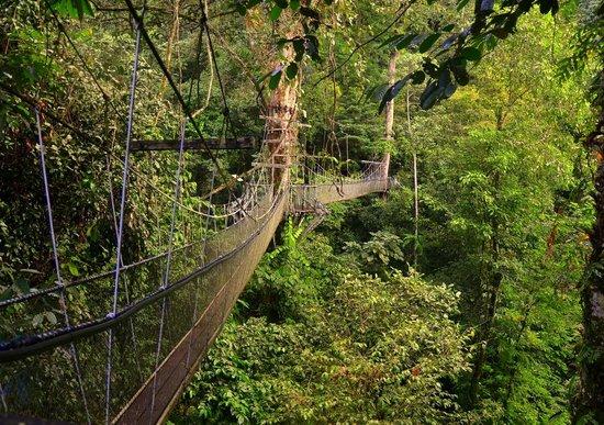 Mulu World Heritage Area